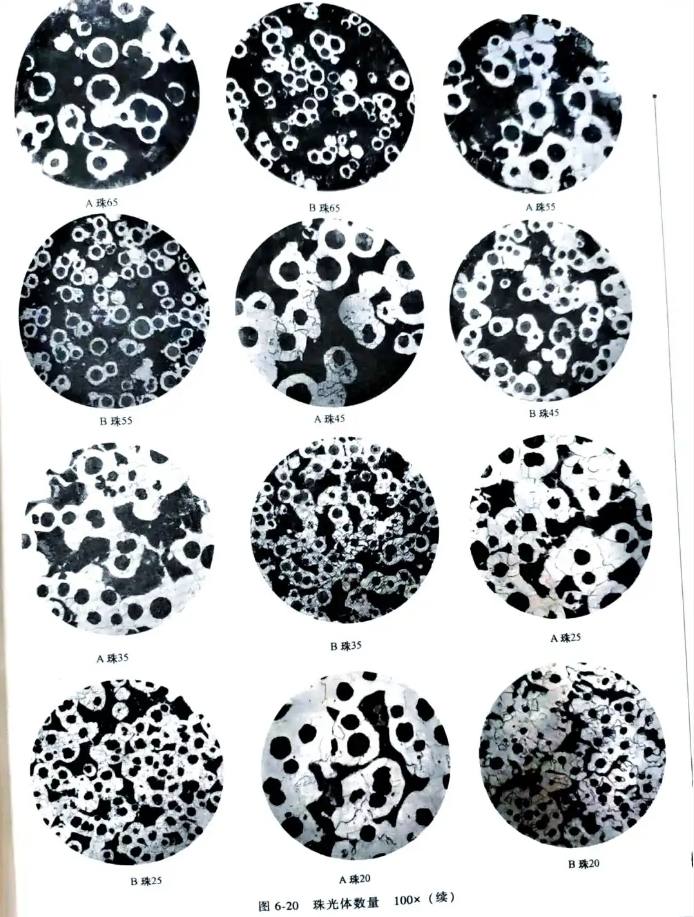 ອິດທິພົນຂອງ graphite morphology ໃນທາດເຫຼັກສຽງໂຫວດທັງຫມົດກ່ຽວກັບການປະຕິບັດ